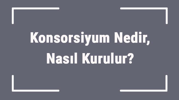 Konsorsiyum Nedir, Nasıl Kurulur Konsorsiyum Anlaşması Nedir