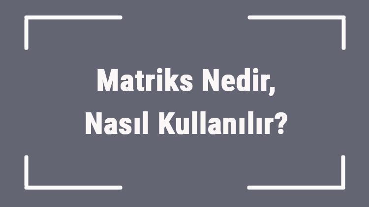 Matriks Nedir, Nasıl Kullanılır Borsada Matrisk Ne İşe Yarar