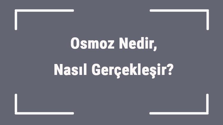 Osmoz Nedir, Nasıl Gerçekleşir Osmoz Olayı Hangi Organellerde Gerçekleşir