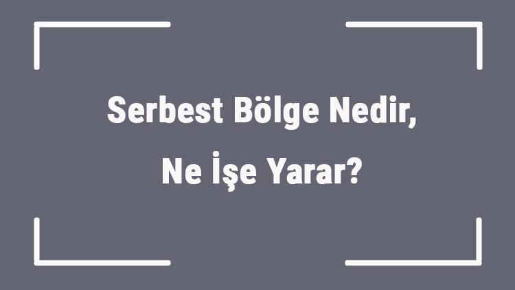 Serbest Bölge Nedir, Ne İşe Yarar Serbest Bölge Avantajları Nelerdir