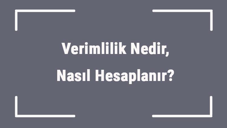 Verimlilik Nedir, Nasıl Hesaplanır Marjinal Ve Ekonomoik Verimlilik Formülü Nedir