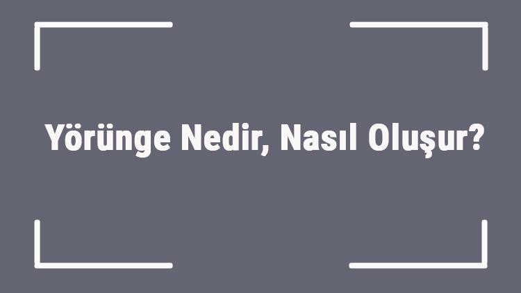 Yörünge Nedir, Nasıl Oluşur Yörünge Ve Orbital Arasındaki Farklar Nelerdir