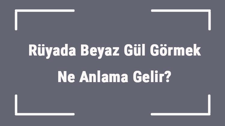 Rüyada Beyaz Gül Görmek Ne Anlama Gelir Rüyada Beyaz Gül Buketi Ve Bahçesi Görmenin Anlamı