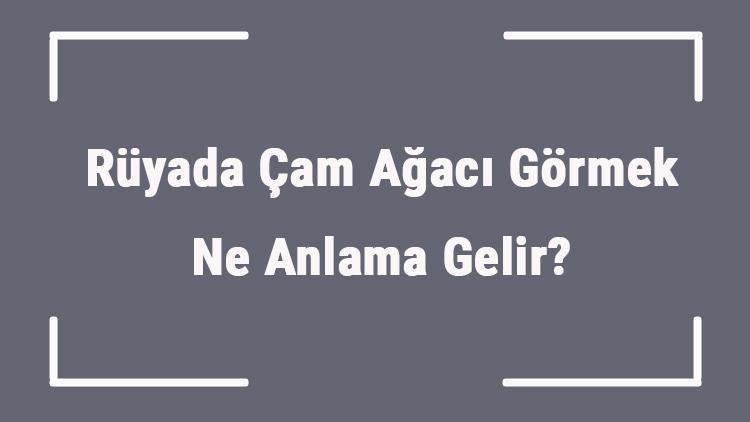 Rüyada Çam Ağacı Görmek Ne Anlama Gelir? Rüyada Çam Ağacı Dikmek Ve Kesmek Anlamı