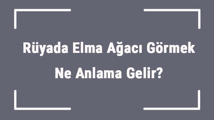 Rüyada Elma Ağacı Görmek Ne Anlama Gelir? Rüyada Elma Ağacı Altında Oturmak Ve Uyumak Anlamı