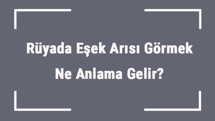 Rüyada Eşek Arısı Görmek Ne Anlama Gelir? Rüyada Eşek Arısı Sokması Ve Kovalaması Anlamı