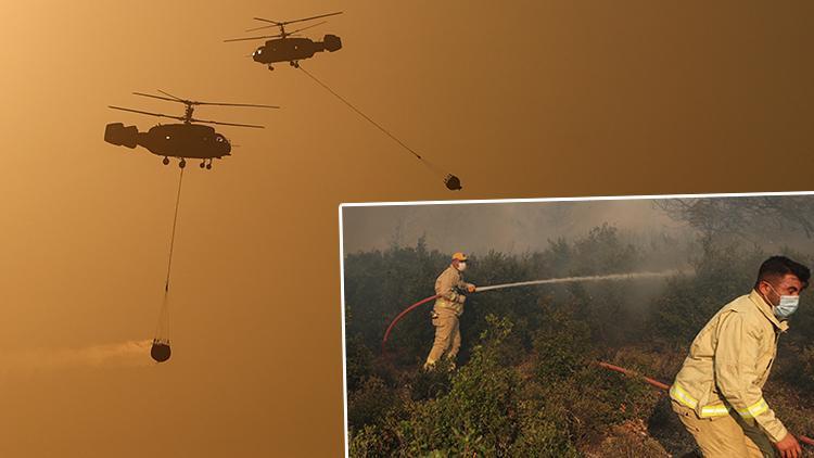 Son dakika: İzmirdeki orman yangının nedeni belli oldu Foça Kaymakamından açıklama