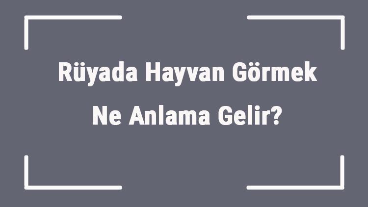 Rüyada Hayvan Görmek Ne Anlama Gelir? Rüyada Hayvan Beslemek, Almak Ve Kesmek Tabiri