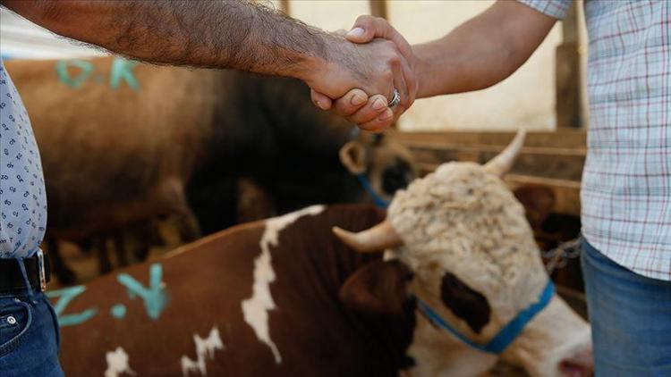 Bakanlıktan Kurban Bayramı öncesinde genelge Satış ve kesim yerlerinde yeni tedbirler