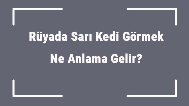 Rüyada Sarı Kedi Görmek Ne Anlama Gelir? Rüyada Sarı Kedi Saldırması Ve Isırması Anlamı