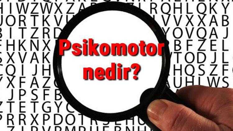 Psikomotor nedir ve özellikleri nelerdir Psikomotor gelişim, öğrenme, davranış ve beceri hakkında bilgiler