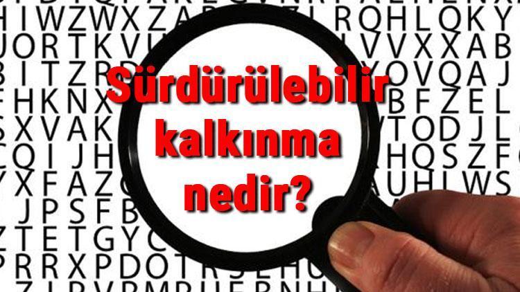 Sürdürülebilir kalkınma nedir, neden önemlidir Sürdürülebilir kalkınma amaçları..