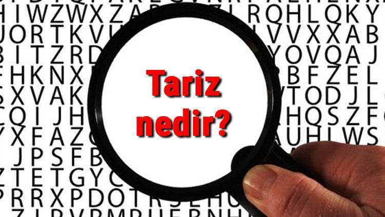 Tariz nedir Tariz edebi sanatı özellikleri ve örnekleri