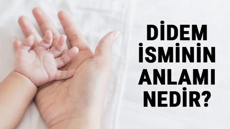 Didem İsminin Anlamı Nedir? Didem Ne Demek? Didem Adının Özellikleri, Analizi Ve Kökeni