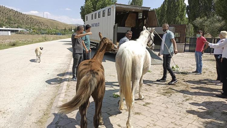 At başına 500 TL ceza