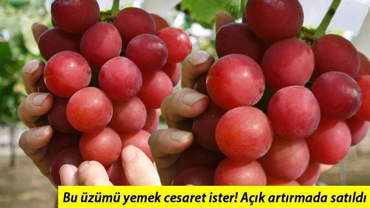 Japonyada rekor açık artırma... Kızıl üzümün salkımı 1,4 milyon yene satıldı