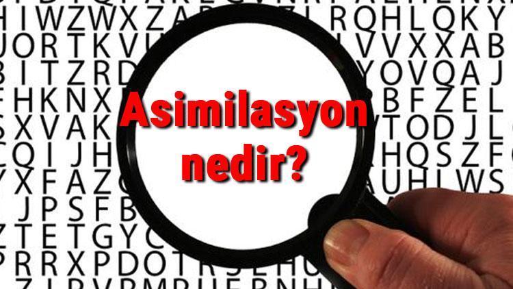 Asimilasyon nedir Asimilasyon politikası ne demek Tarihte asimilasyon örnekleri