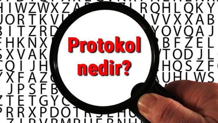 Protokol nedir ve çeşitleri nelerdir