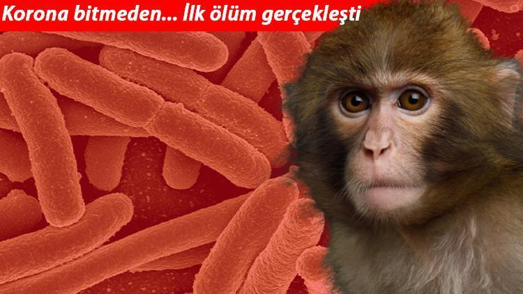 Son dakika haberi: Koronadan sonra yeni kâbus Monkey B virüsü: Çinde görüldü, ilk ölüm haberi geldi