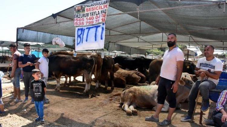 Kurban pazarlarında son gün yoğunluğu