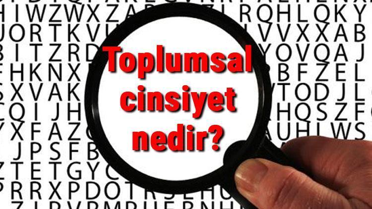 Toplumsal cinsiyet nedir Sosyolojide toplumsal cinsiyet eşitliği ve eşitsizliği terimleri