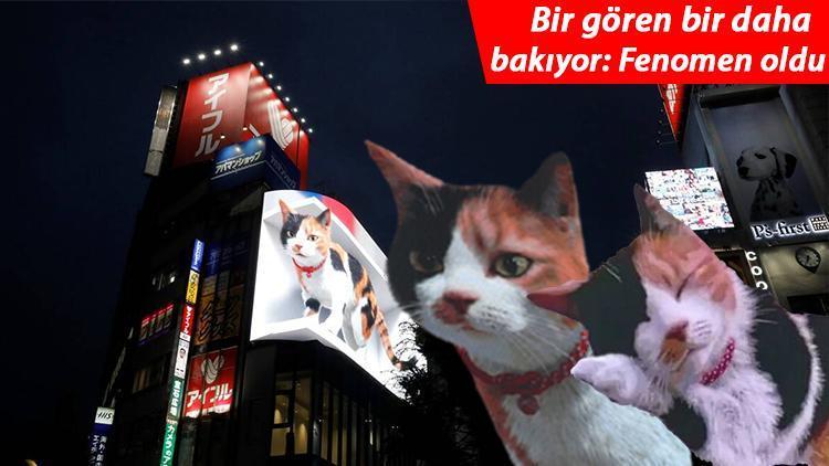 Sosyal medyayı yıktı geçti: İşte Tokyonun yeni misafiri 3D kedi