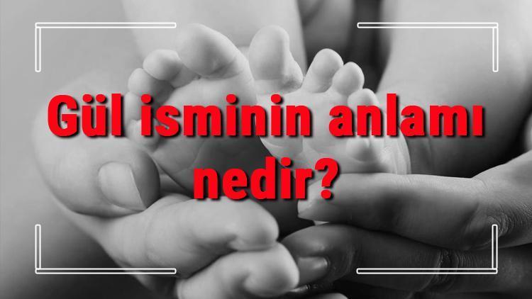 Gül isminin anlamı nedir Gül ne demek Gül adının özellikleri, analizi ve kökeni