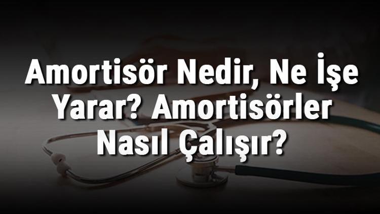 Amortisör Nedir, Ne İşe Yarar Amortisörler Nasıl Çalışır