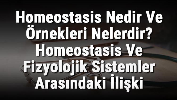 Homeostasis Nedir Ve Örnekleri Nelerdir Homeostasis Ve Fizyolojik Sistemler Arasındaki İlişki