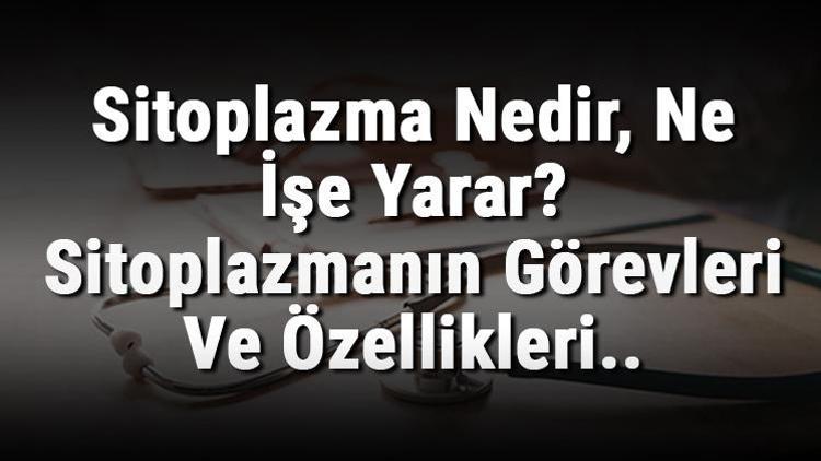 Sitoplazma Nedir, Ne İşe Yarar Sitoplazmanın Görevleri Ve Özellikleri..