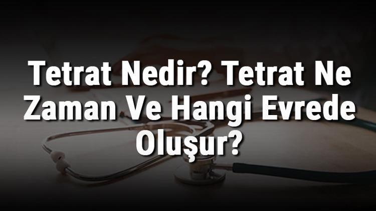 Tetrat Nedir Tetrat Ne Zaman Ve Hangi Evrede Oluşur