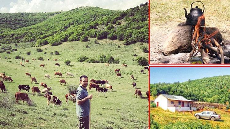 Dağ-bayır-dere... Koya değil köye gittim