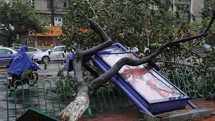 Çin’in doğusunda tayfun uyarısı