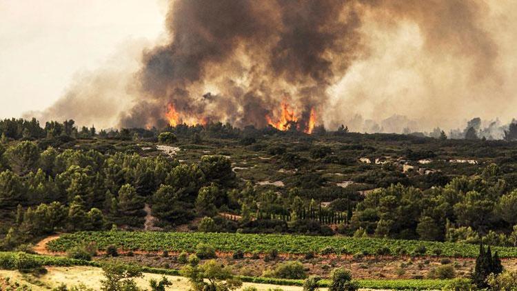 Fransa’da orman yangınında 850 hektarlık alan zarar gördü