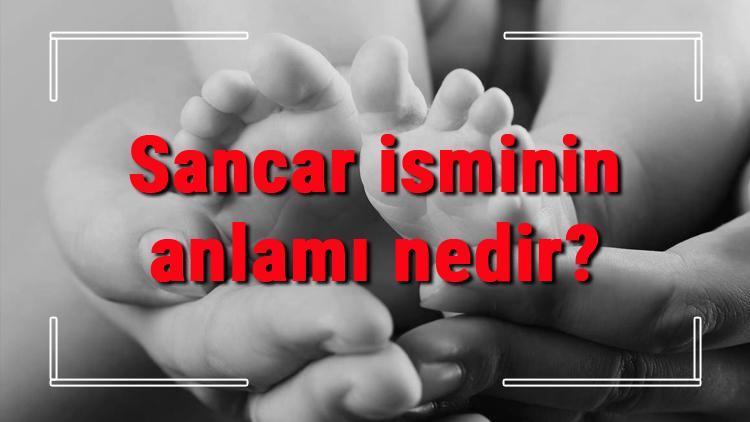 Sancar isminin anlamı nedir Sancar ne demek Sancar adının özellikleri, analizi ve kökeni