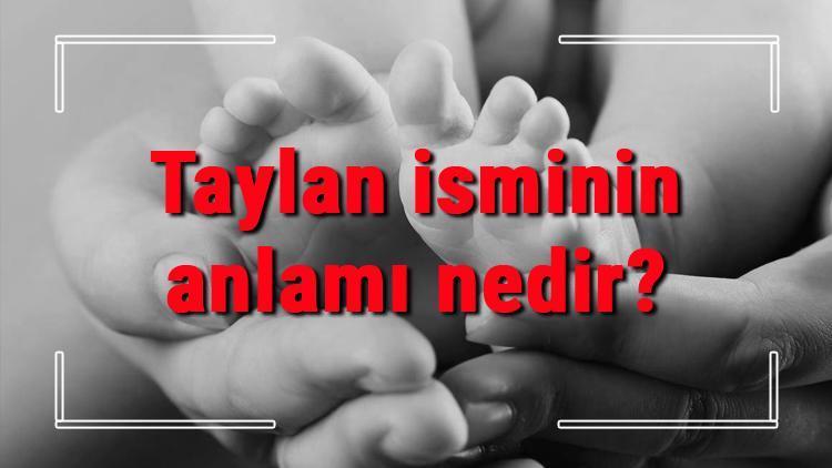 Taylan isminin anlamı nedir Taylan ne demek Taylan adının özellikleri, analizi ve kökeni