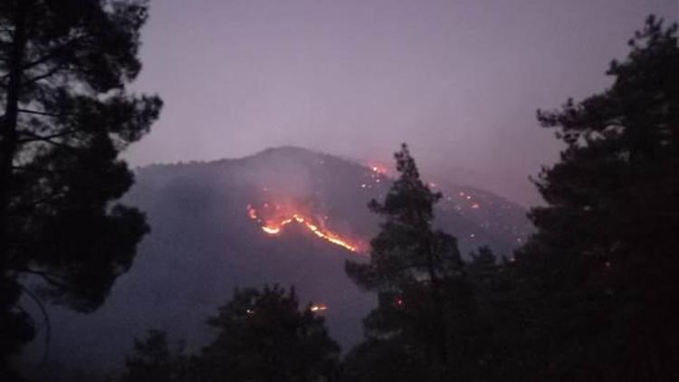 Son dakika... Kayserinin Yahyalı ilçesindeki Aladağlar Milli Parkında yangın