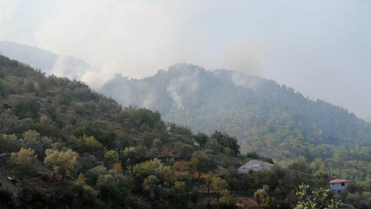Antalyanın Gazipaşa ilçesinde yangın