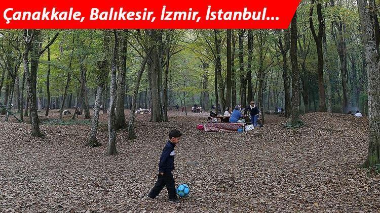 Ormanlara zorunlu veda... Çanakkale, İzmir, İstanbul... Liste genişliyor