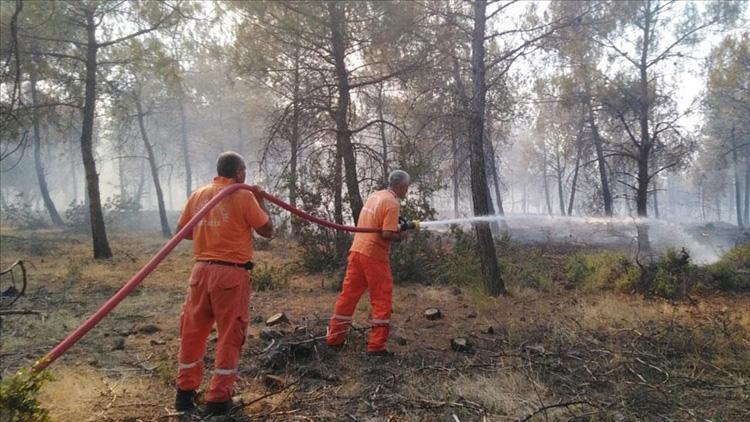 Kiliste ormanlık alanlara giriş yasaklandı