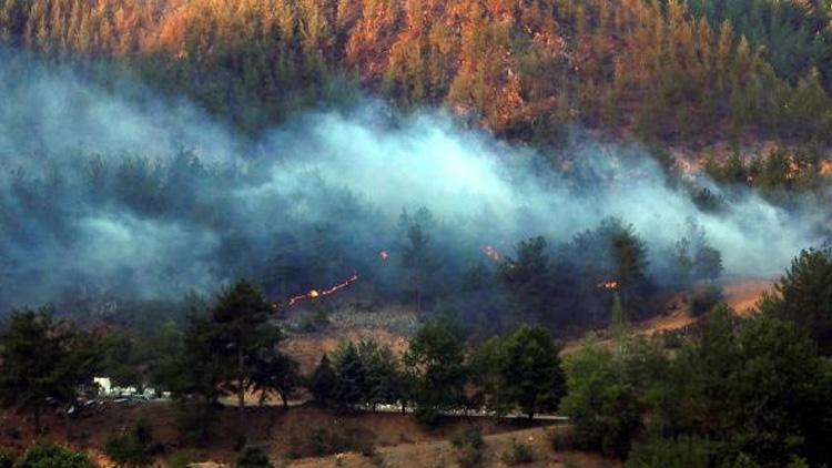 Adana’daki orman yangınları kısmen kontrol altında