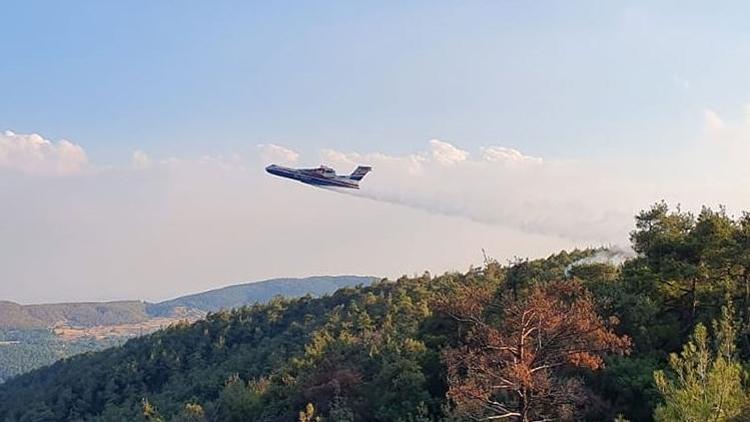Rusyadan Türkiyeye hava desteği: Orman yangınıyla mücadele için 11 hava aracı gönderecek