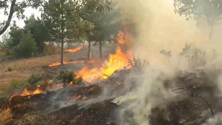 Bir kötü haber de Uşaktan Orman yangını evlere sıçradı