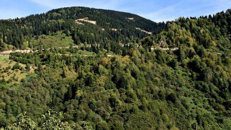 Trabzonda bazı ormanlara giriş ve belirli alanlar dışında ateş yakılması yasaklandı