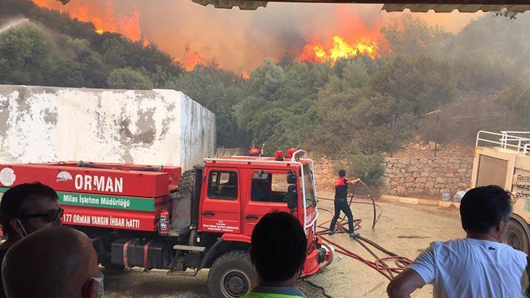 Son dakika: Tarım ve Orman Bakanı Bekir Pakdemirli orman yangınlarında son durumu paylaştı
