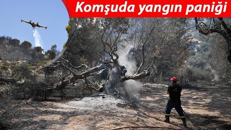 Yunanistanda orman yangınları sürüyor: 110 çocuğun bulunduğu tatil kampı tahliye edildi