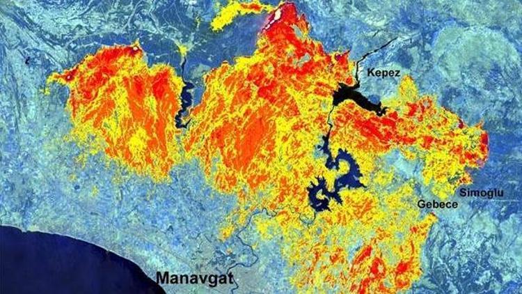 Manavgatta 30 bin 632 hektarlık alanda yangın etkili olmuş Yüzey sıcaklığı 95 dereceye ulaştı