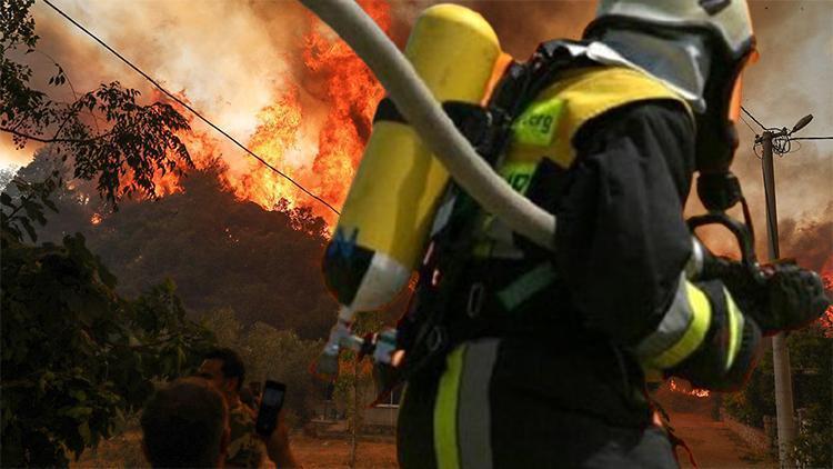 Orman yangınları neden artıyor, hangi yıkıcı sonuçları beraberinde getiriyor