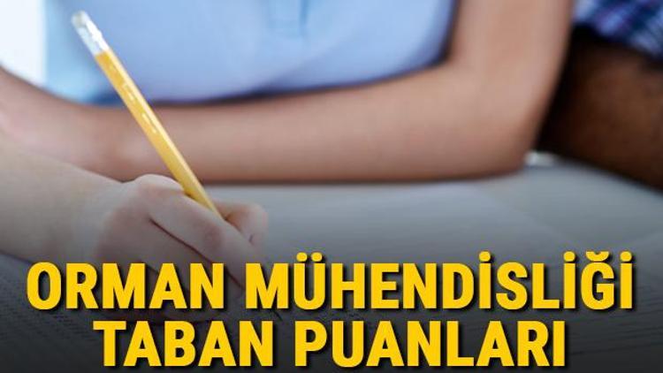 Orman Mühendisliği taban puanları, başarı sıralamaları ve kontenjanları 2021