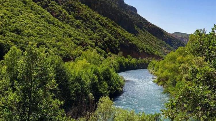 Tuncelide 30 gün boyunca ormanlara giriş yasak